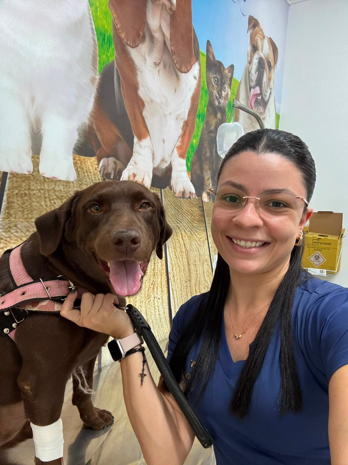 Cuidado veterinário domiciliar